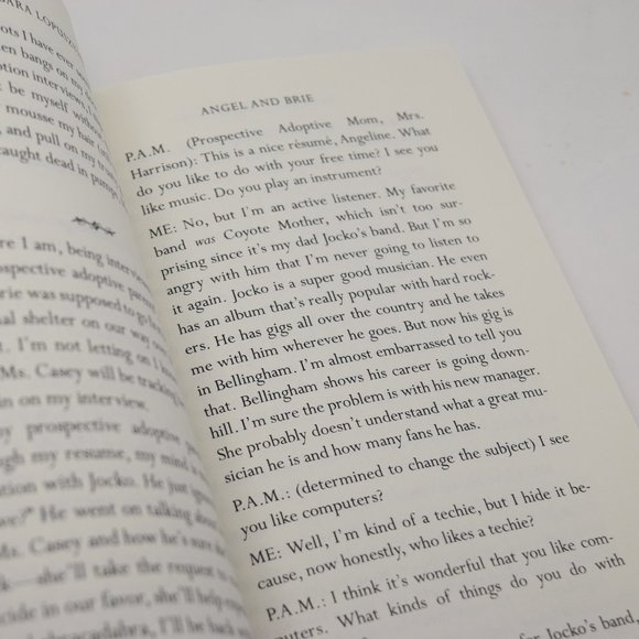 Angel and Brie Barbara Lopuszynski Paperback YA Fiction Adventure - Picture 11 of 11